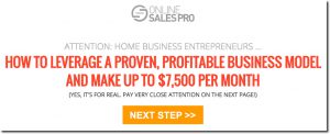 online-sales-pro-review