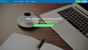 surpay-site-review