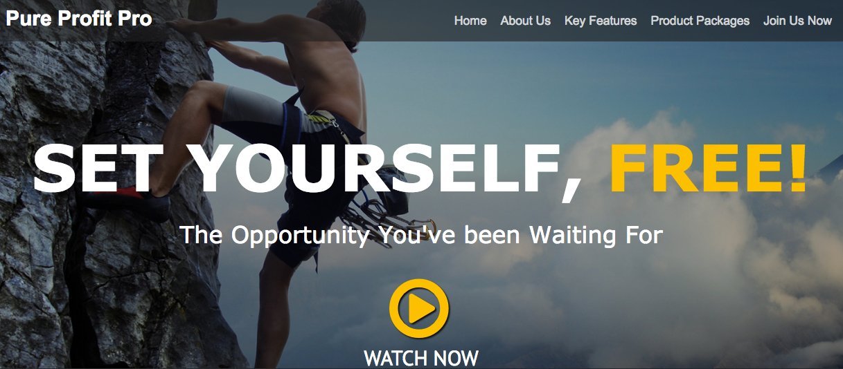 pure-profit-pro-review