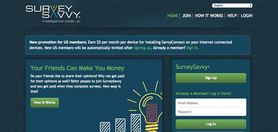 survey-savvy-review