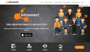 bitconnect-review