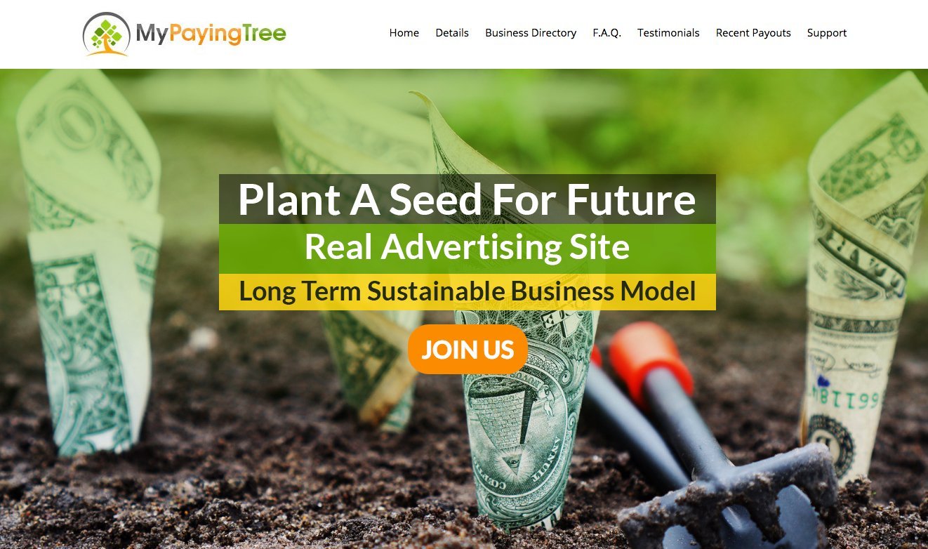 my-paying-tree-review