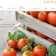 juice-plus-review